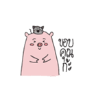 Mr.Mee Ms.Moo（個別スタンプ：39）