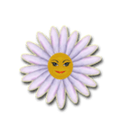 Daisy Chain（個別スタンプ：1）