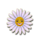 Daisy Chain（個別スタンプ：2）