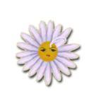 Daisy Chain（個別スタンプ：3）