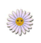 Daisy Chain（個別スタンプ：4）