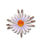 Daisy Chain（個別スタンプ：5）