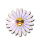 Daisy Chain（個別スタンプ：13）