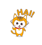 meddy robo cat（個別スタンプ：1）