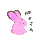 pinky the rabbit（個別スタンプ：5）