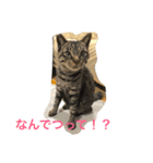 ドーラでつ（個別スタンプ：6）