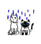 two cats 'K＆K SISTERS'（個別スタンプ：2）