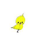 つーたんの鳥達の幕の内（個別スタンプ：3）