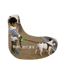 フレンチブルドッグさらだ2（個別スタンプ：8）