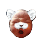(^^)/（個別スタンプ：12）