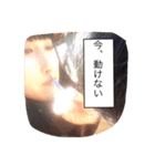 おぱかぴもぷとぺ2（個別スタンプ：1）
