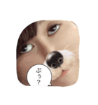 おぱかぴもぷとぺ2（個別スタンプ：3）