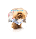 ☆モカの気持ちスタンプ☆（個別スタンプ：7）