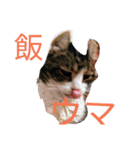 雷太くん、元気？（個別スタンプ：2）