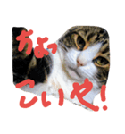 雷太くん、元気？（個別スタンプ：5）
