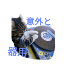 雷太くん、元気？（個別スタンプ：6）