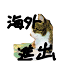 雷太くん、元気？（個別スタンプ：7）
