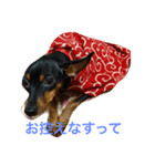 てぃぴろぜ（個別スタンプ：2）