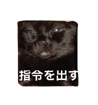 てぃぴろぜ（個別スタンプ：5）