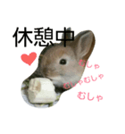 ミルミル（個別スタンプ：5）