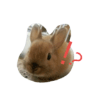 ミルミル（個別スタンプ：7）