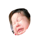 しったんすたんぷ（個別スタンプ：2）