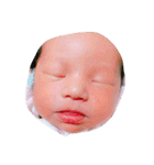しったんすたんぷ（個別スタンプ：4）