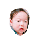 しったんすたんぷ（個別スタンプ：11）