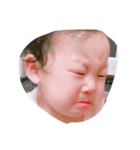 しったんすたんぷ（個別スタンプ：19）