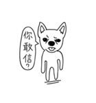 Do you really think I'm Chihuahua？（個別スタンプ：2）