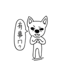 Do you really think I'm Chihuahua？（個別スタンプ：3）