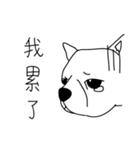 Do you really think I'm Chihuahua？（個別スタンプ：5）