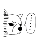 Do you really think I'm Chihuahua？（個別スタンプ：8）