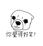 Do you really think I'm Chihuahua？（個別スタンプ：9）