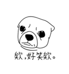 Do you really think I'm Chihuahua？（個別スタンプ：10）