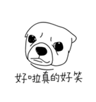Do you really think I'm Chihuahua？（個別スタンプ：11）