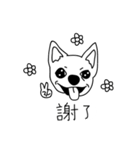 Do you really think I'm Chihuahua？（個別スタンプ：18）