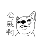 Do you really think I'm Chihuahua？（個別スタンプ：19）