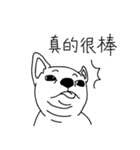 Do you really think I'm Chihuahua？（個別スタンプ：20）
