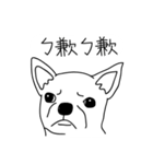 Do you really think I'm Chihuahua？（個別スタンプ：21）