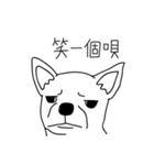 Do you really think I'm Chihuahua？（個別スタンプ：23）