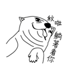 Do you really think I'm Chihuahua？（個別スタンプ：28）