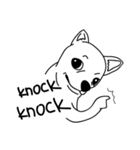 Do you really think I'm Chihuahua？（個別スタンプ：31）