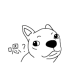 Do you really think I'm Chihuahua？（個別スタンプ：33）