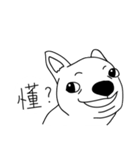 Do you really think I'm Chihuahua？（個別スタンプ：34）