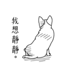 Do you really think I'm Chihuahua？（個別スタンプ：36）
