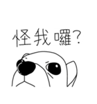 Do you really think I'm Chihuahua？（個別スタンプ：40）