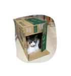 ノルウェージャン 猫ねこ ベジくん（個別スタンプ：4）