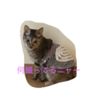 チビ子の1日（個別スタンプ：1）