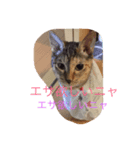 チビ子の1日（個別スタンプ：2）
